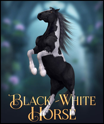 (image for) Black &White Horse - Click Image to Close